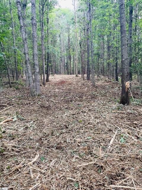 00 B Greenville Hwy, Easley, SC 29640