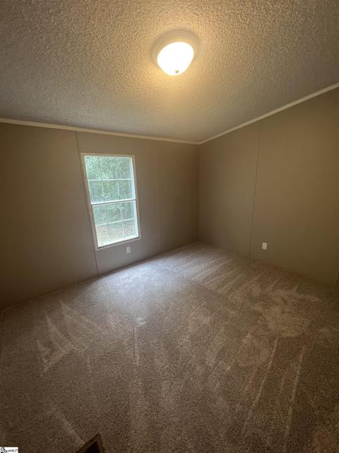 893 Black Snake Rd, Easley, SC 29640 photo 21