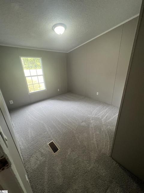 893 Black Snake Rd, Easley, SC 29640 photo 20