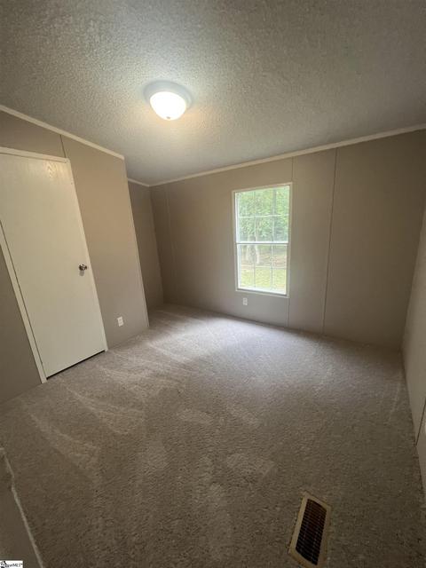 893 Black Snake Rd, Easley, SC 29640 photo 19