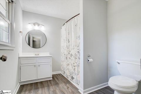 336 E Celestial Dr, Greer, SC 29651 photo 19