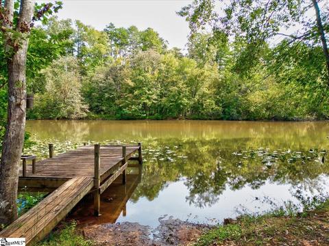 336 E Celestial Dr, Greer, SC 29651 photo 33