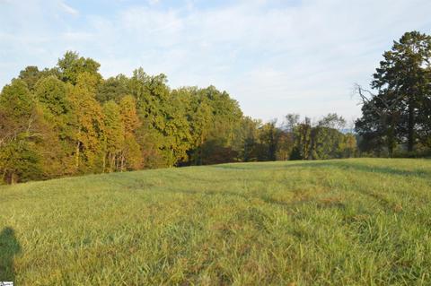 225 Race Track Tract L Rd #TRACT L, Campobello, SC 29322