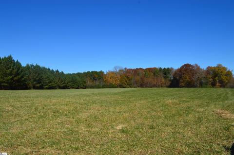 2350 Fairview Farms Tract A Rd #TRACT A, Campobello, SC 29322