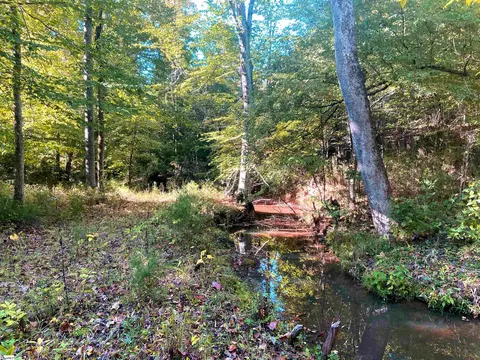 144 Craigo Rd, Fountain Inn, SC 29644