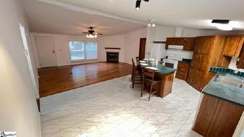 231 Thicket Trl, Pelzer, SC 29669 photo 13