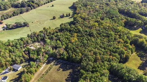 605 Cooley Bridge Rd, Pelzer, SC 29669 photo 4