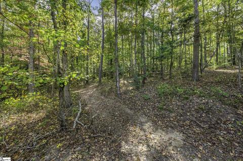 605 Cooley Bridge Rd, Pelzer, SC 29669 photo 11
