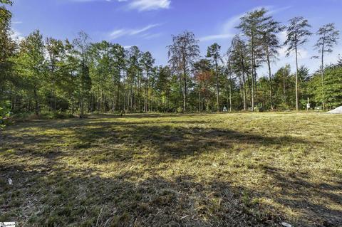 605 Cooley Bridge Rd, Pelzer, SC 29669 photo 9