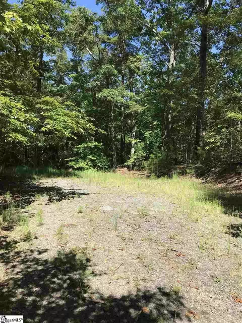 000 Wild Haven Way, Mill Spring, NC 28756 photo 5
