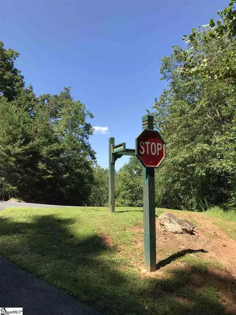 000 Wild Haven Way, Mill Spring, NC 28756 photo 9