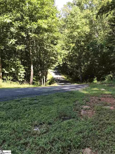 000 Wild Haven Way, Mill Spring, NC 28756