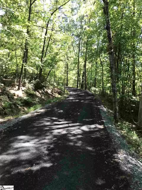 000 Wild Haven Way, Mill Spring, NC 28756 photo 7