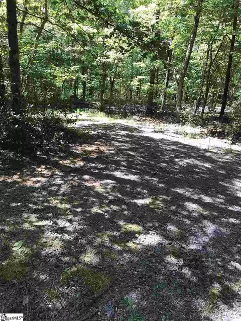 000 Wild Haven Way, Mill Spring, NC 28756 photo 6