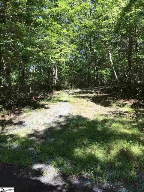 000 Wild Haven Way, Mill Spring, NC 28756 photo 3