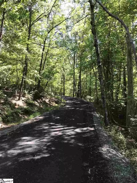 000 Wild Haven Way, Mill Spring, NC 28756 photo 2