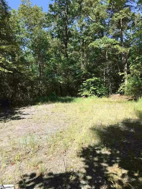 000 Wild Haven Way, Mill Spring, NC 28756 photo 4
