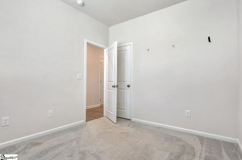29 Table Mountain Trl, Greer, SC 29651 photo 19