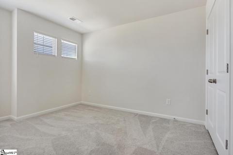 29 Table Mountain Trl, Greer, SC 29651 photo 25