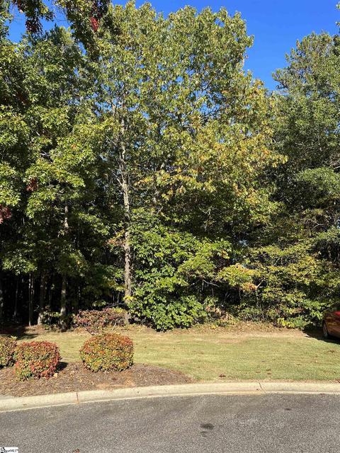 216 Muth Ave, Pelzer, SC 29669 photo 1