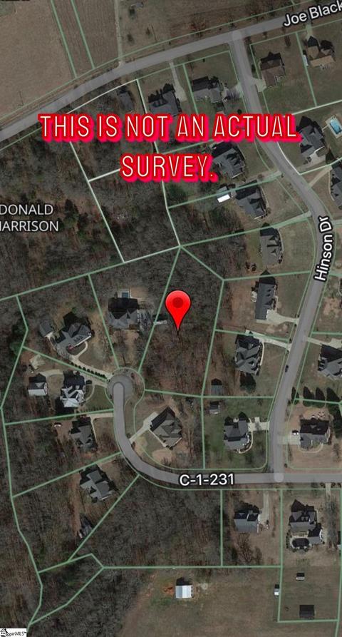 216 Muth Ave, Pelzer, SC 29669 photo 4