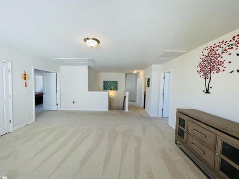 803 Abacos Ct, Greer, SC 29650 photo 22