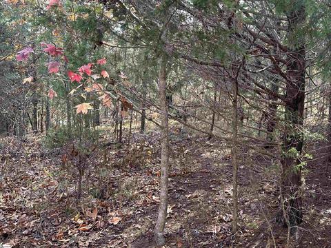 137 E Peninsula Dr, Laurens, SC 29360