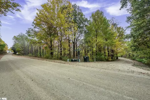00 May Apple Way, Landrum, SC 29356