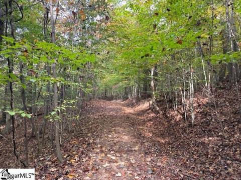 367 Holiday St, Pelzer, SC 29669 photo 33