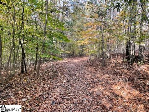 367 Holiday St, Pelzer, SC 29669 photo 34
