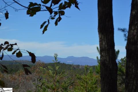 315 Cliffside Trl, Pickens, SC 29671 photo 2