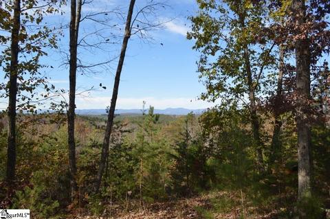 315 Cliffside Trl, Pickens, SC 29671 photo 5