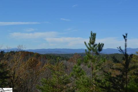 315 Cliffside Trl, Pickens, SC 29671 photo 4