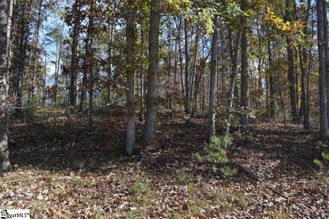 315 Cliffside Trl, Pickens, SC 29671 photo 9