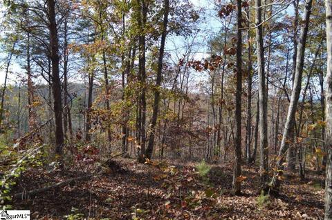 315 Cliffside Trl, Pickens, SC 29671 photo 12
