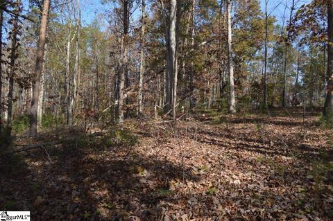 315 Cliffside Trl, Pickens, SC 29671 photo 11