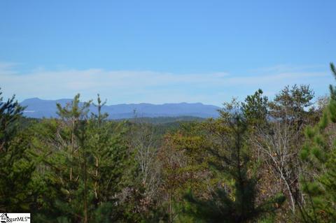 315 Cliffside Trl, Pickens, SC 29671 photo 3
