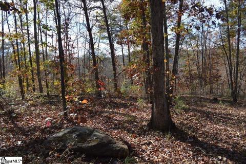 315 Cliffside Trl, Pickens, SC 29671 photo 8