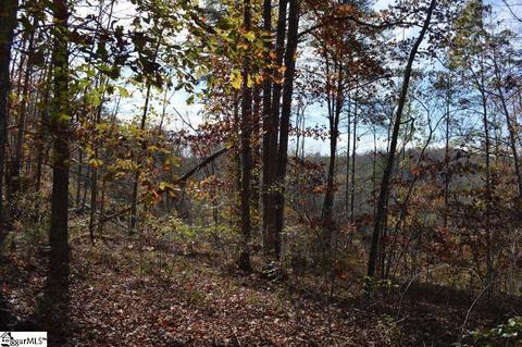 315 Cliffside Trl, Pickens, SC 29671 photo 10