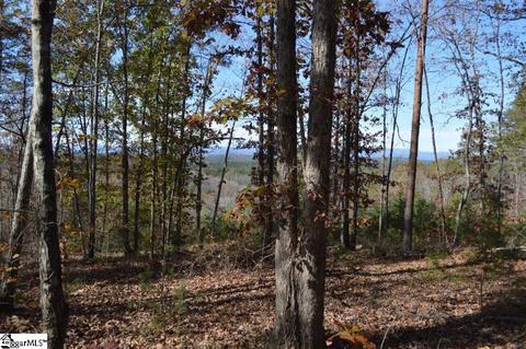 315 Cliffside Trl, Pickens, SC 29671 photo 13