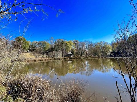 560 Rogers Rd, Pelzer, SC 29669 photo 11