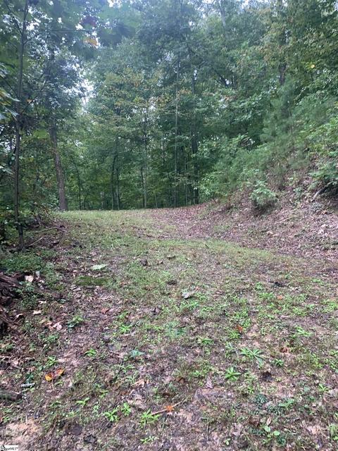 00 Copper Leaf Lot 6 Ln #LOT 6, Travelers Rest, SC 29690