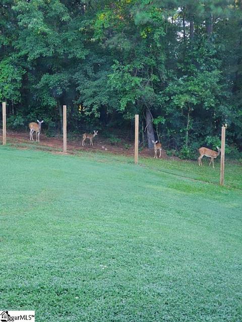 2101 Old Mill Rd, Easley, SC 29642 photo 36