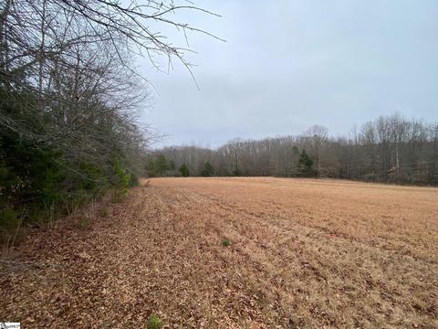 00 Harris Bridge Rd, Gray Court, SC 29645