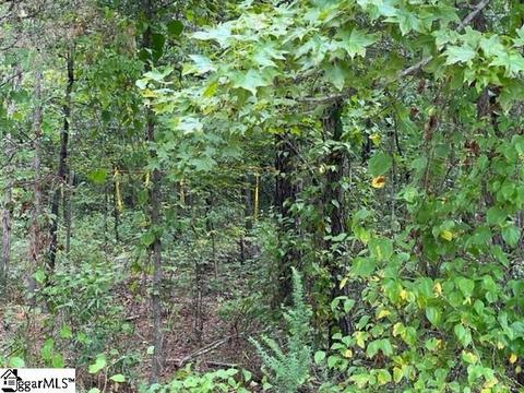 152 Chandler Rd # b, Pelzer, SC 29669