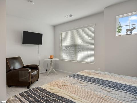25 Table Mountain Trl, Greer, SC 29651 photo 21