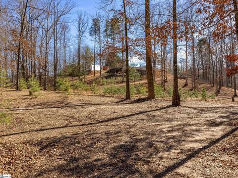 127 Guy Cothran Rd, Inman, SC 29349 photo 35