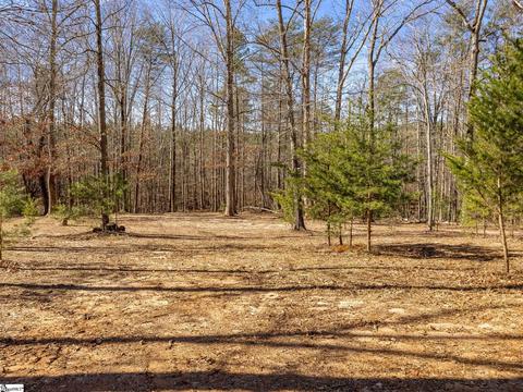 127 Guy Cothran Rd, Inman, SC 29349 photo 36