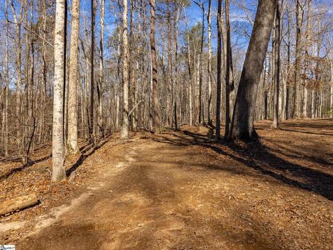 127 Guy Cothran Rd, Inman, SC 29349 photo 32