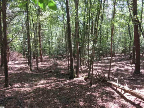 1375 Goldmine Rd, Spartanburg, SC 29307
